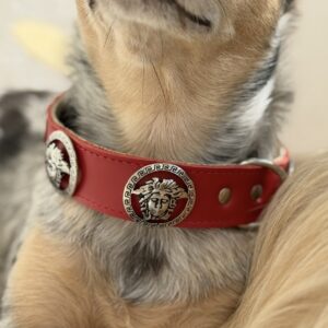 Medusa Rouge Collar