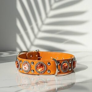 Soleil d’Orange Collar