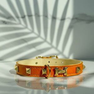 Orange Mini Haute Collar