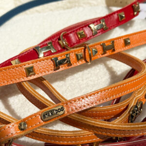 Orange Mini Haute Collar