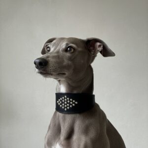 Casino Royale Collar