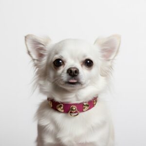 Chérie Riviera Fuchsia