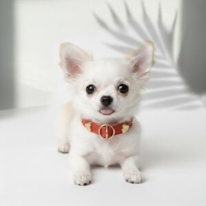 Chérie Riviera Rouge