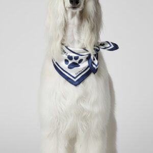 ChicDog & Co. French Riviera Edition Scarf  70cmx70cm