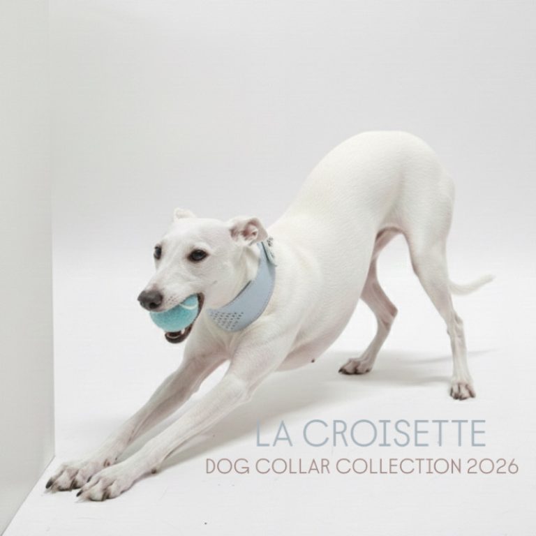 2E005AA4-5EBD-4E97-A33E-6589E719AC40